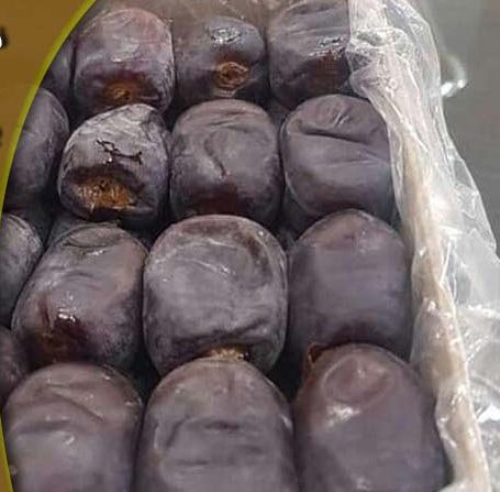 قیمت خرید خرما مضافتی مروارید سیاه + فروش ویژه